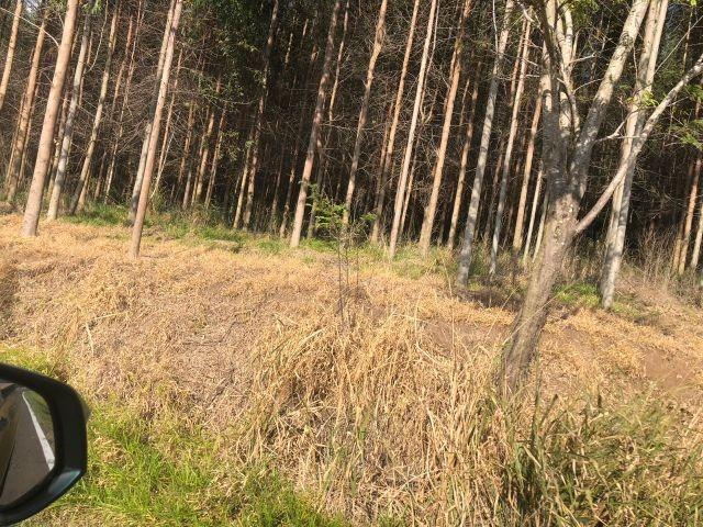 Fazenda, 2 hectares - Foto 2