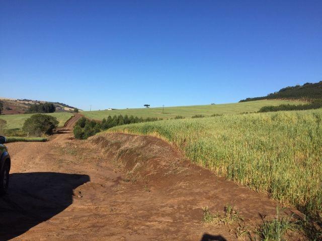 Fazenda, 2 hectares - Foto 6