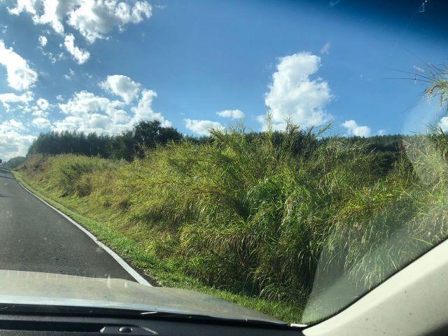 Fazenda, 2 hectares - Foto 3