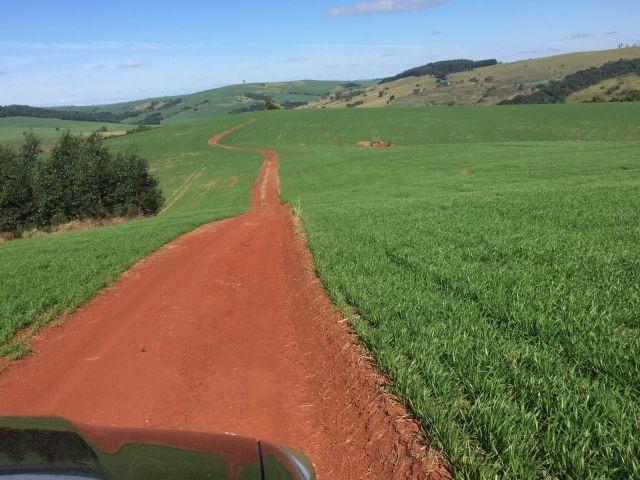 Fazenda, 2 hectares - Foto 8