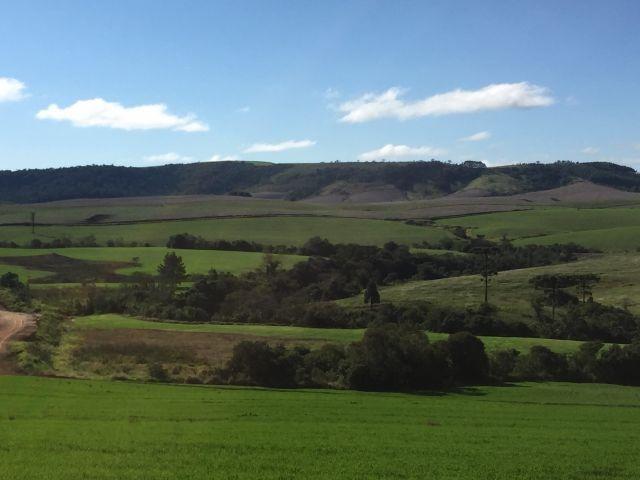 Fazenda, 2 hectares - Foto 15