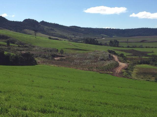 Fazenda, 2 hectares - Foto 14